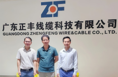 Vietnamese Delegation Visited Zhengfeng Wire To Discuss Wire And Cable Market